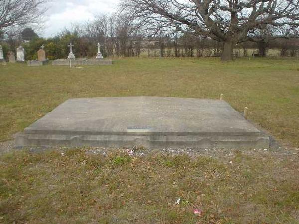 Full-size image
