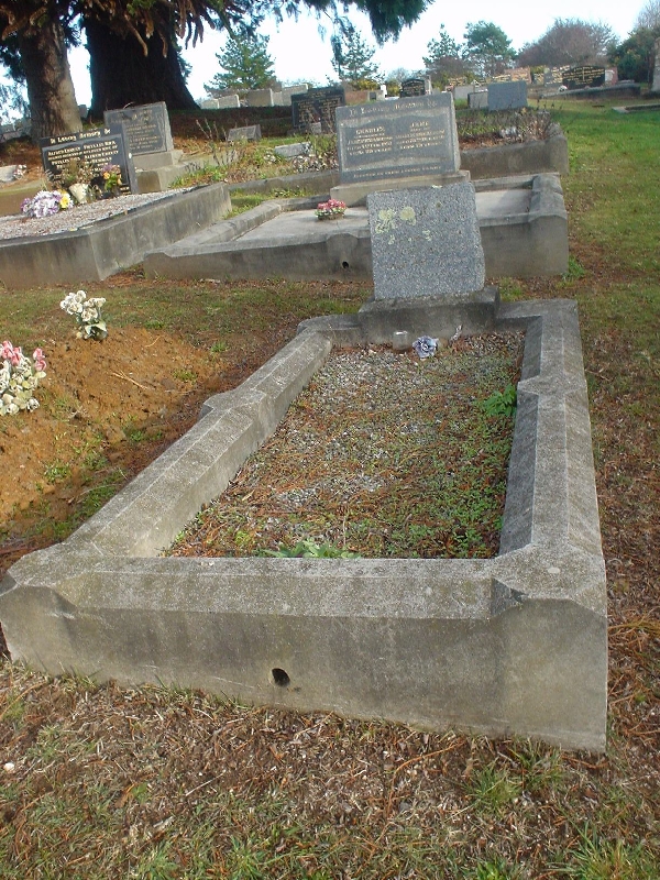 Full-size image