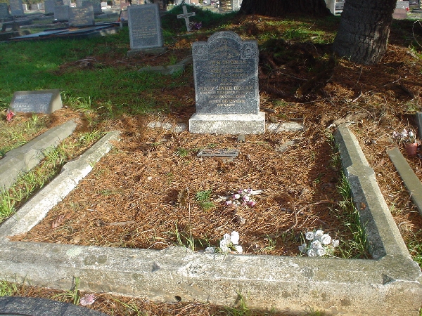 Full-size image