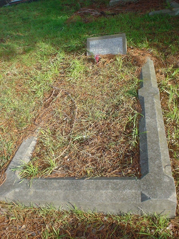 Full-size image