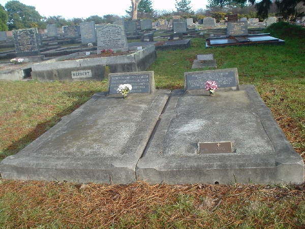 Full-size image