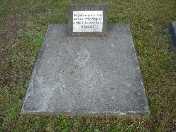 Full-size image