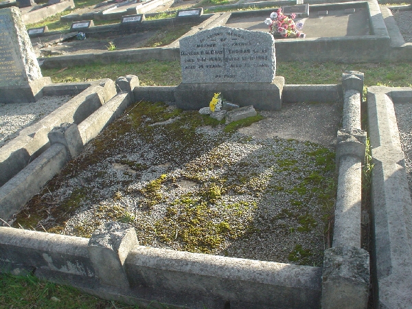 Full-size image