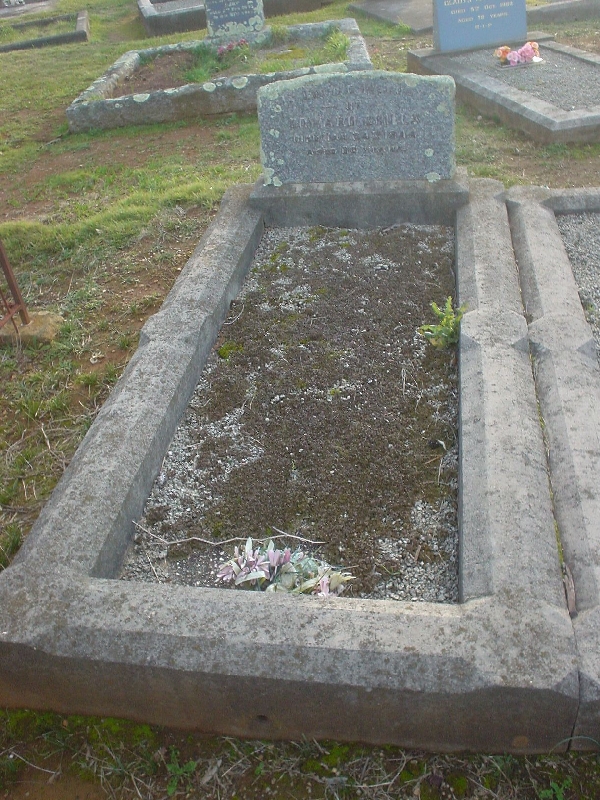 Full-size image