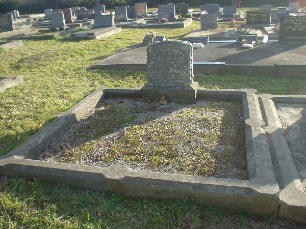 Full-size image