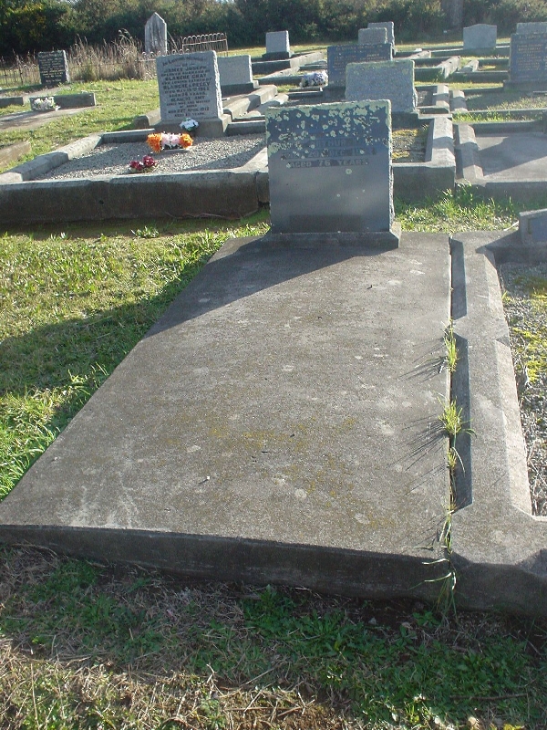 Full-size image