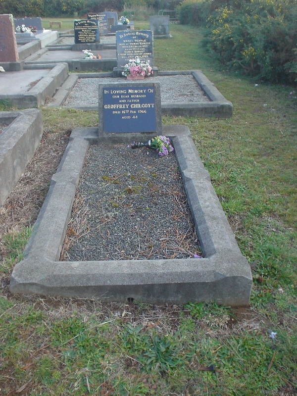 Full-size image
