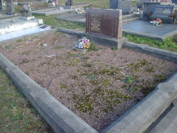 Full-size image