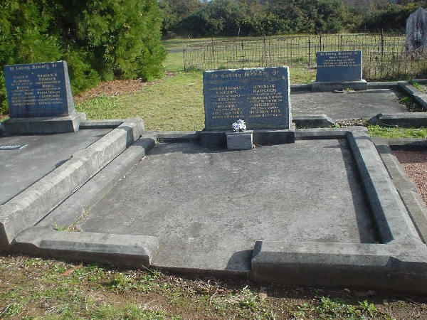 Full-size image
