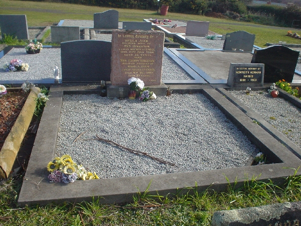 Full-size image