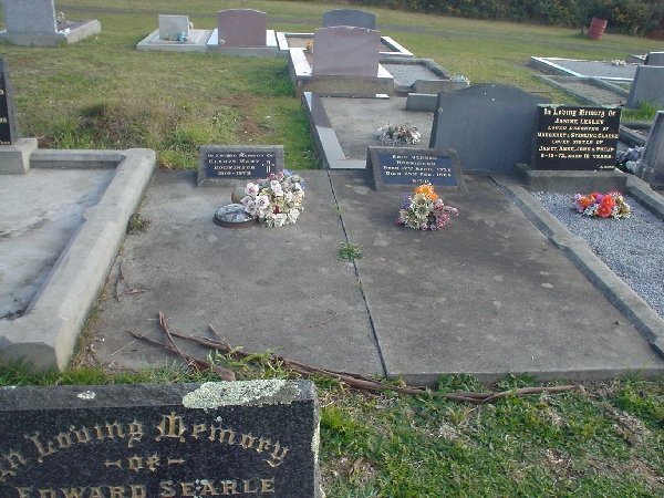 Full-size image