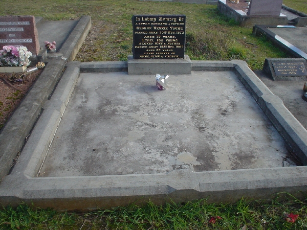Full-size image