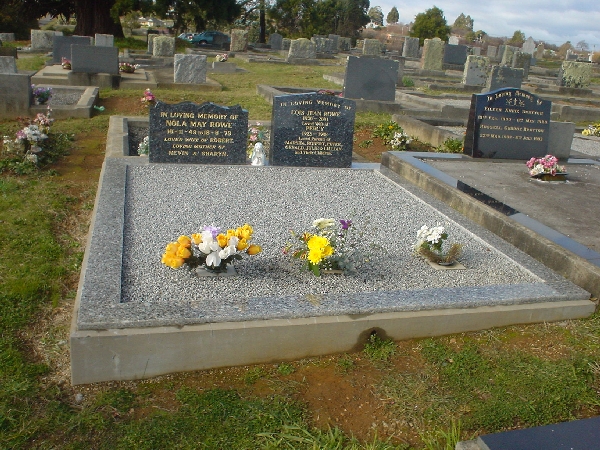Full-size image
