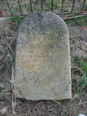 Full-size image