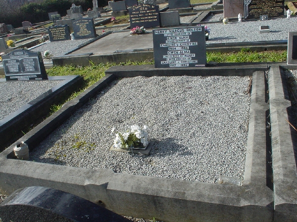 Full-size image