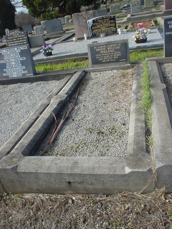 Full-size image