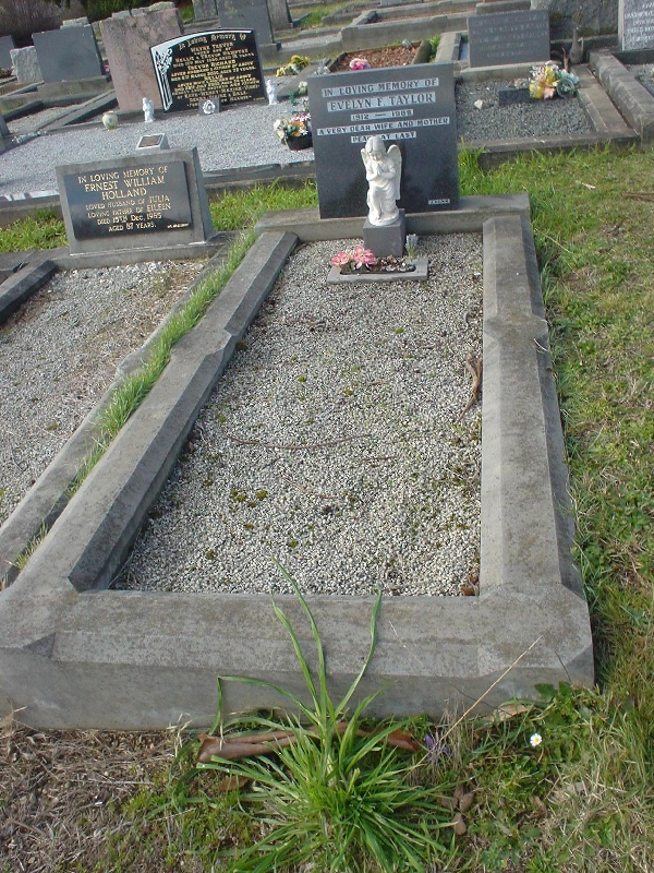 Full-size image