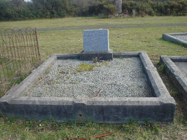 Full-size image