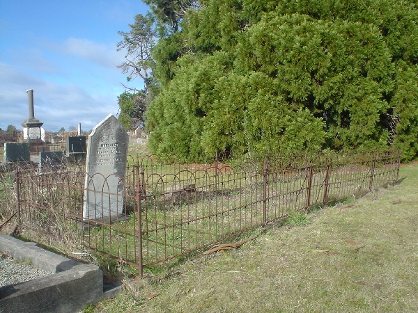 Full-size image