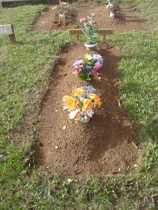 Full-size image
