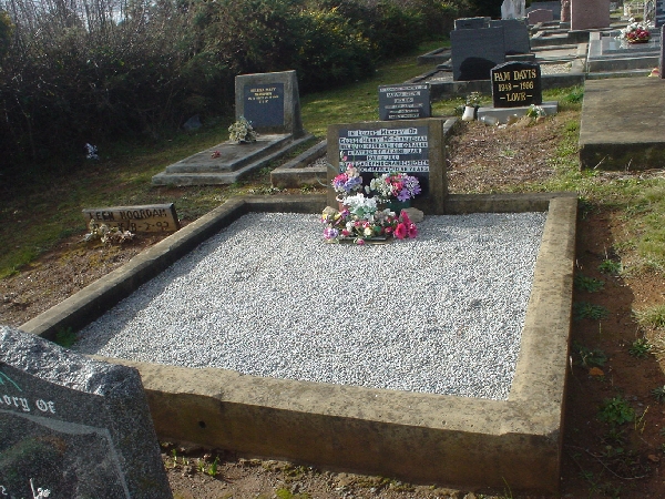 Full-size image
