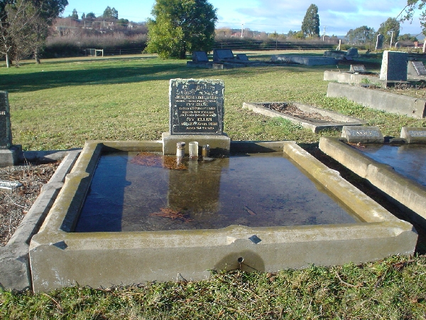 Full-size image