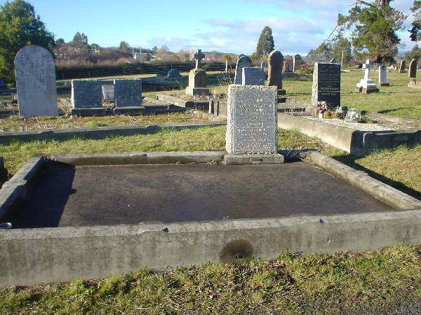 Full-size image