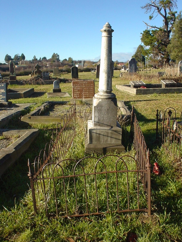 Full-size image