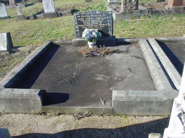 Full-size image