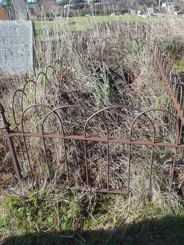 Full-size image