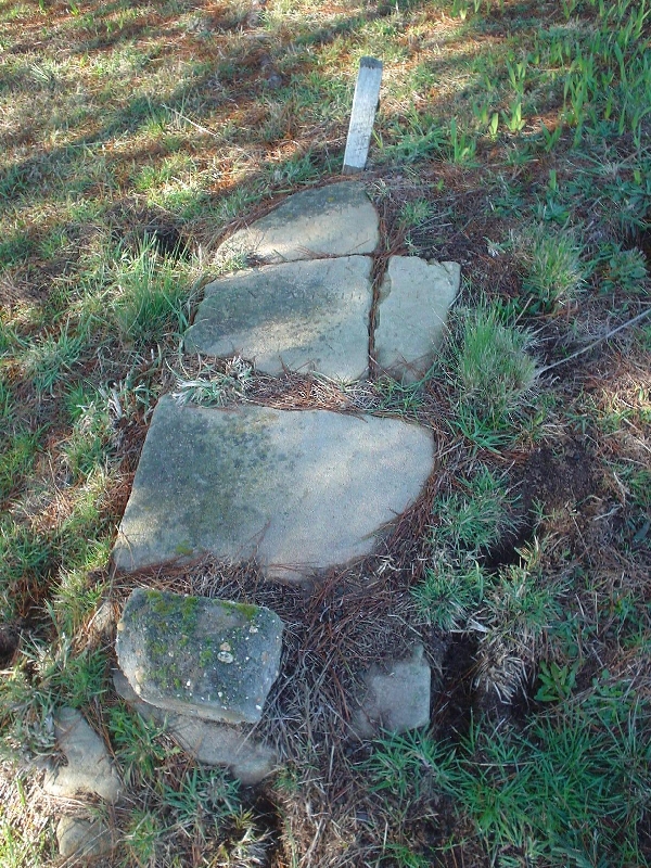 Full-size image