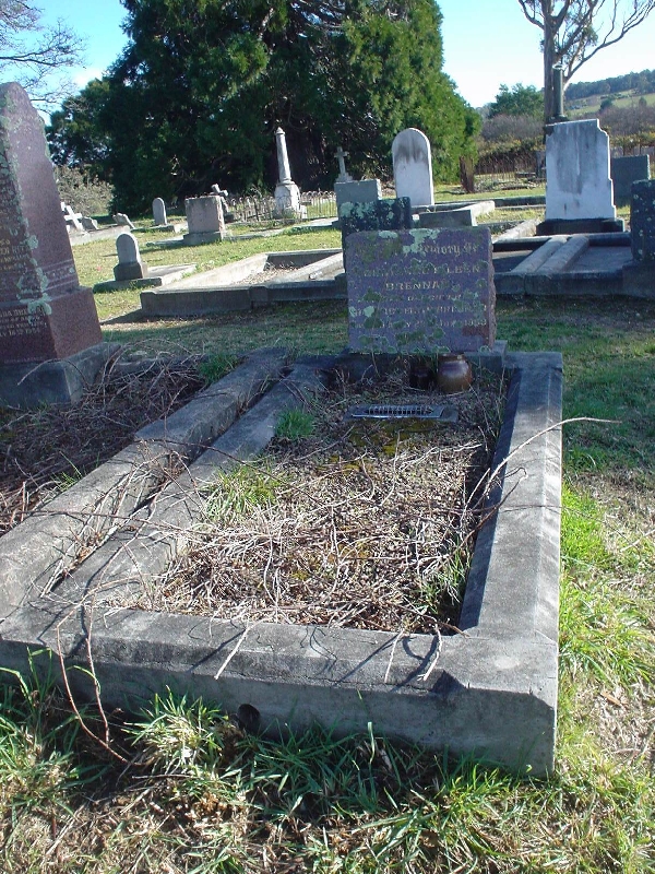 Full-size image