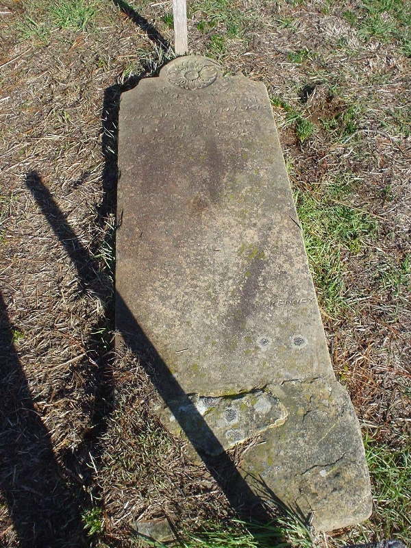 Full-size image