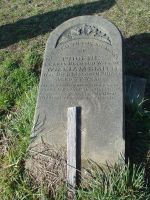 Full-size image