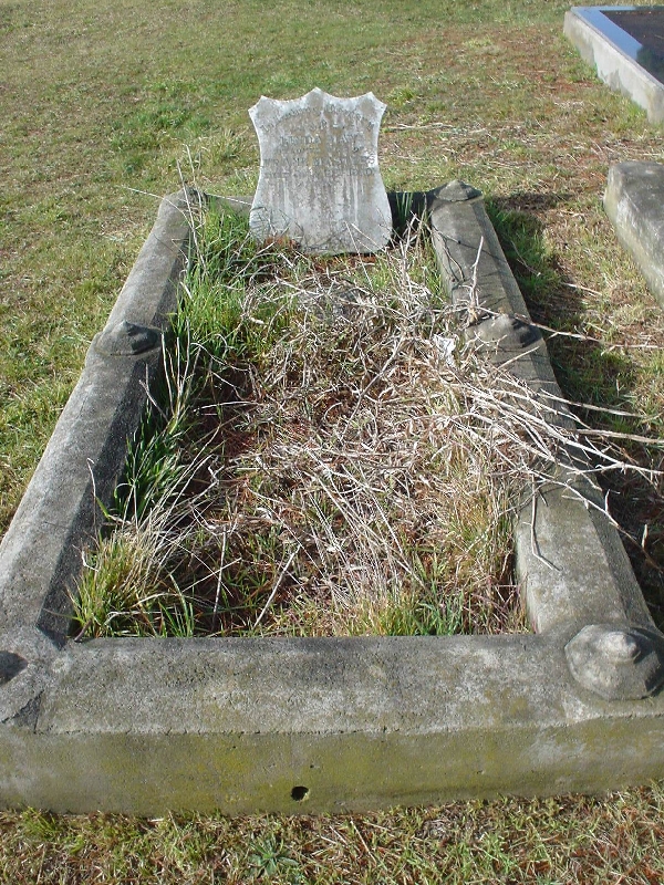 Full-size image