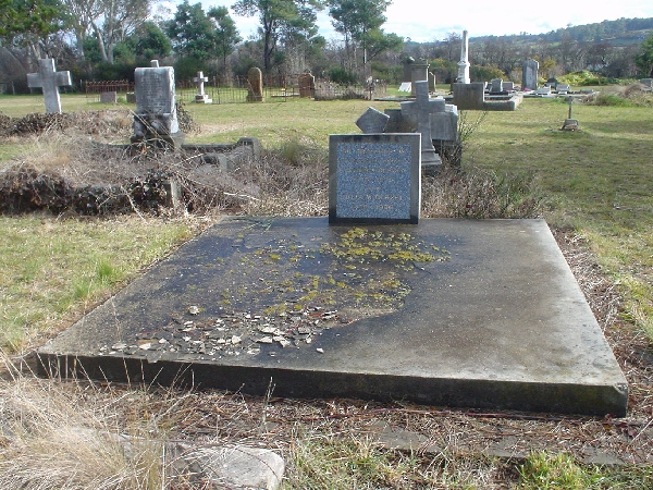 Full-size image
