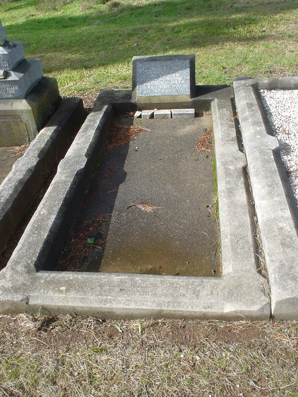 Full-size image