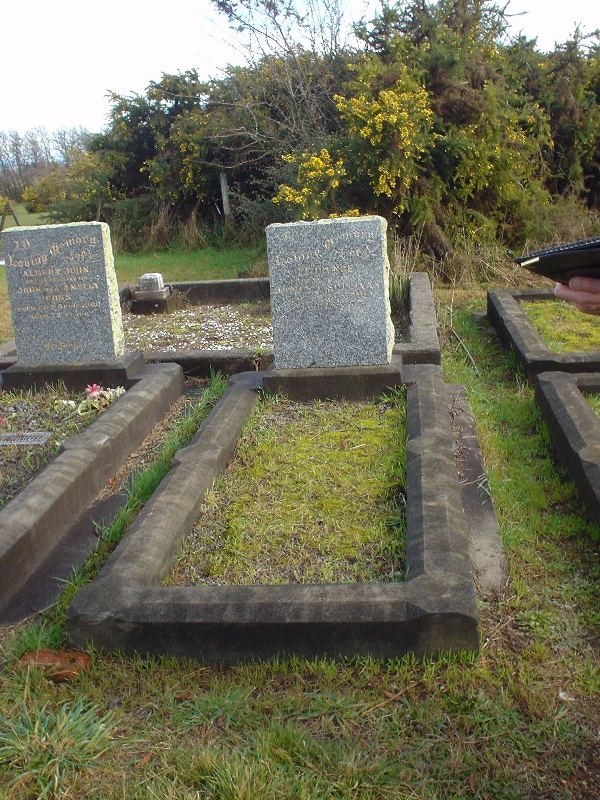 Full-size image