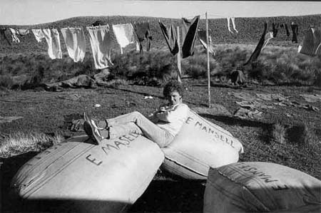Full-size image