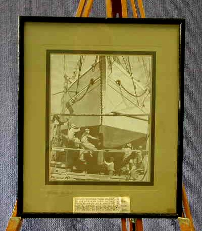 Full-size image