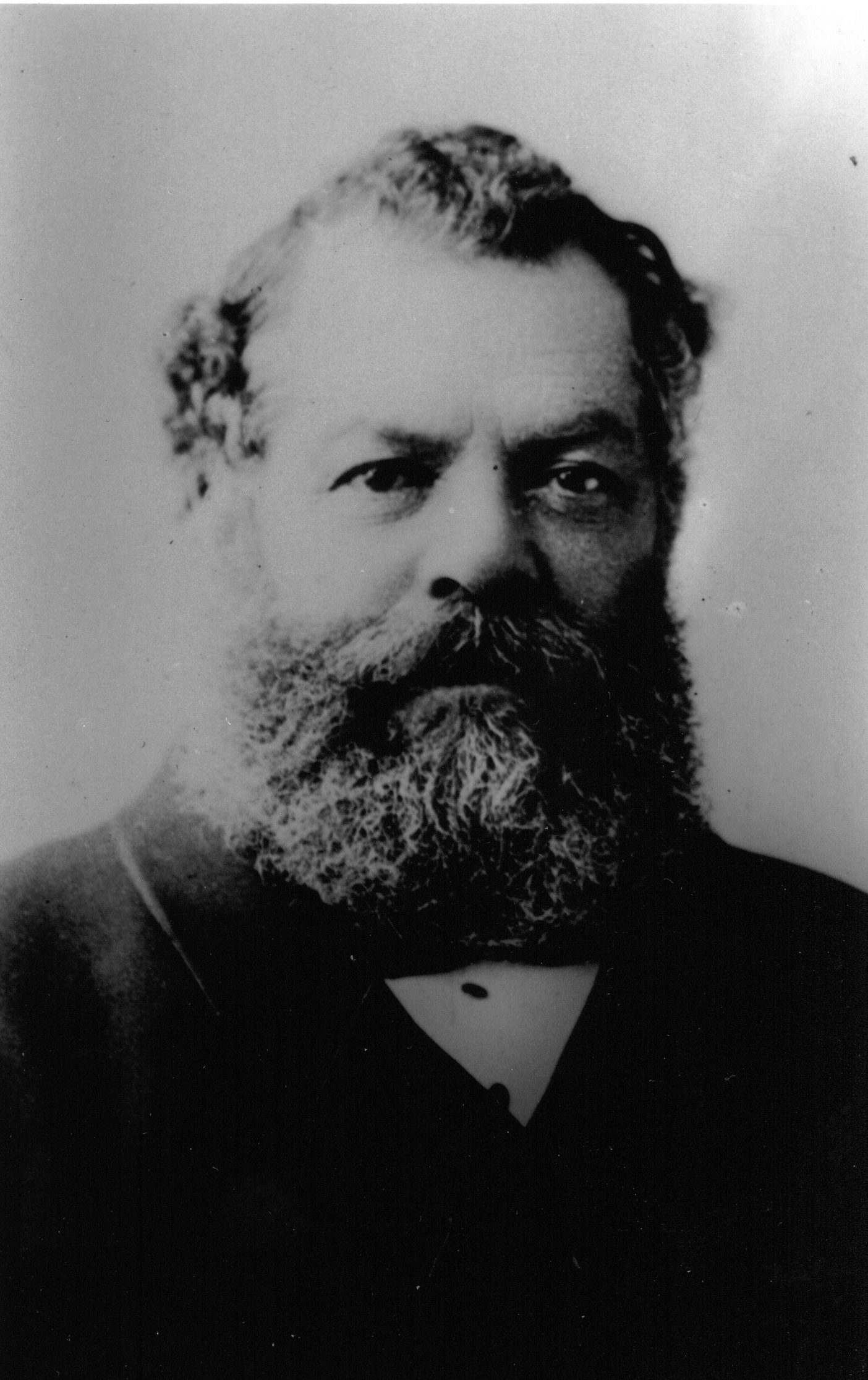 Full-size image