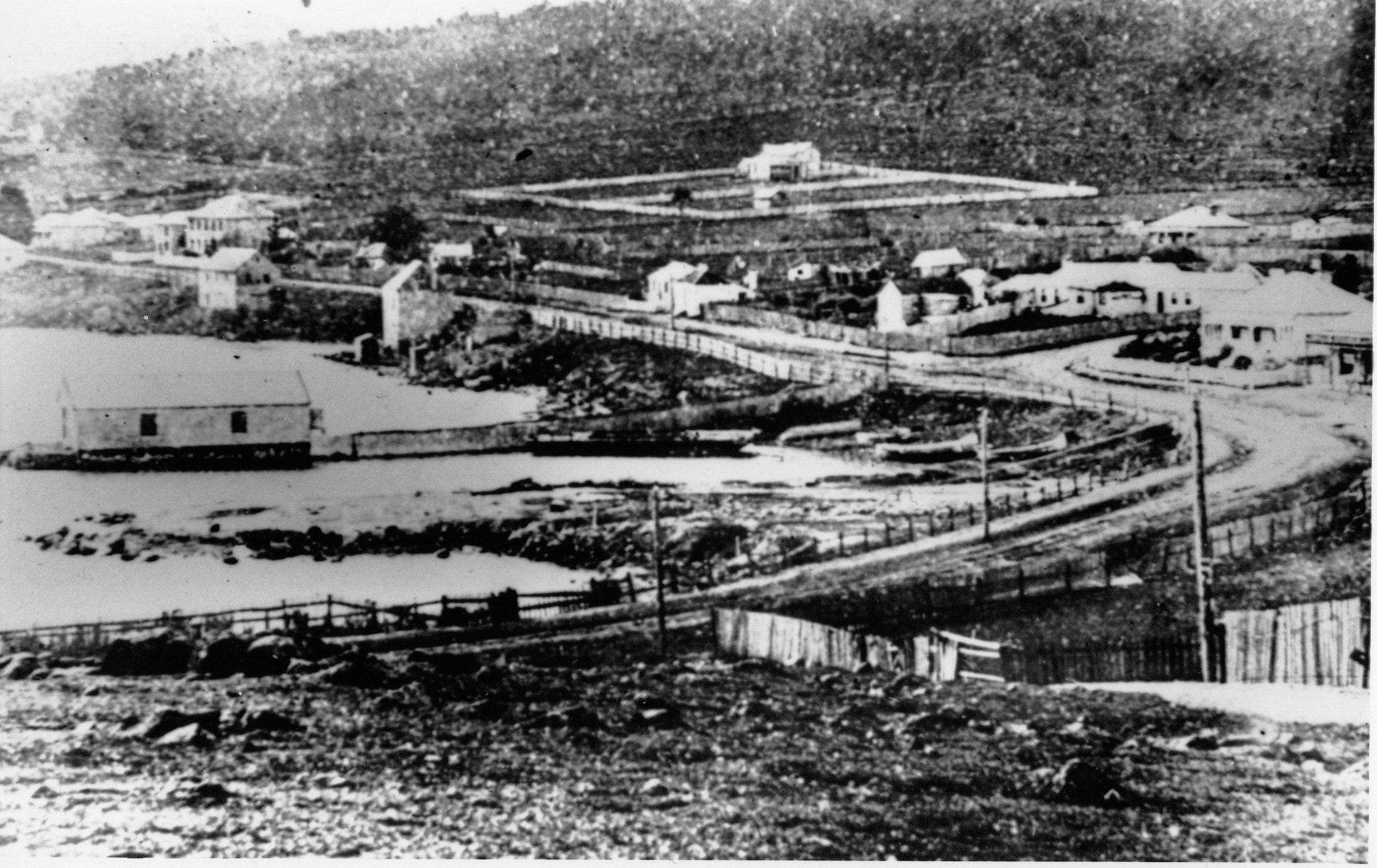 Full-size image