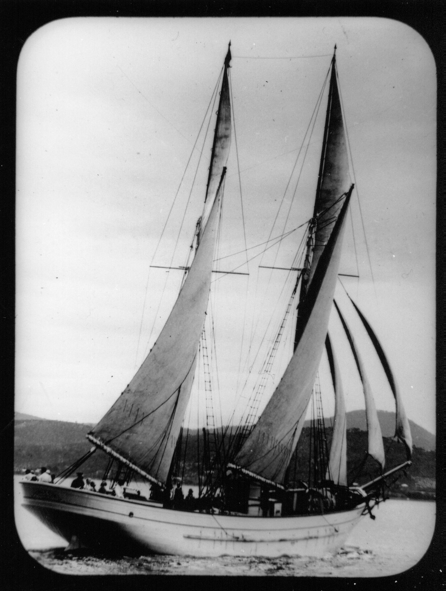 Full-size image