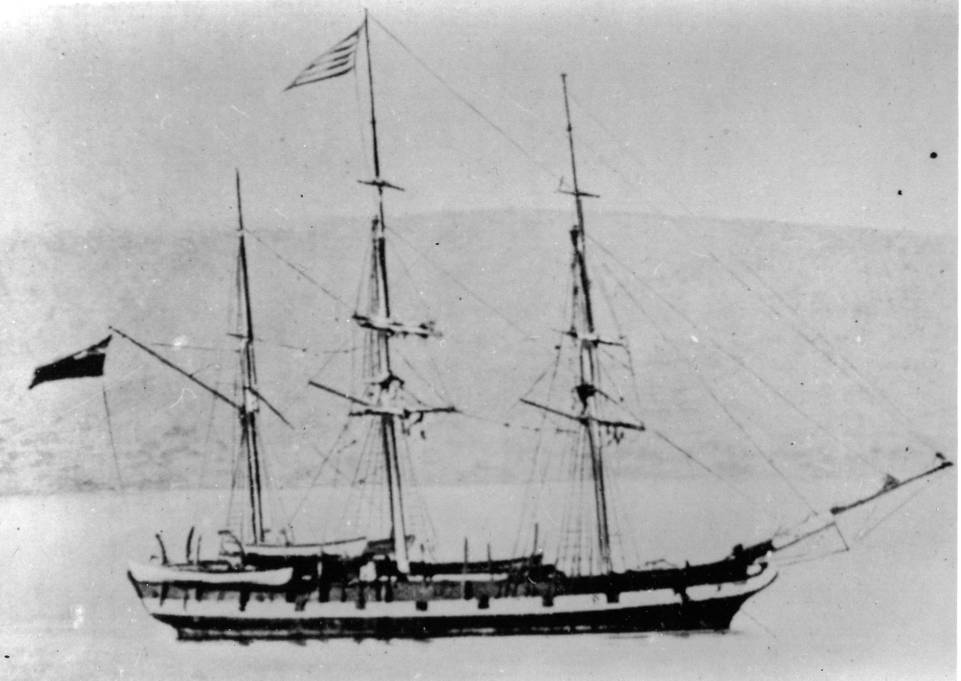 Full-size image