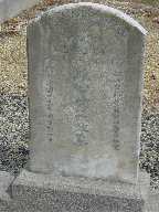 Full-size image