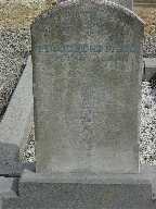 Full-size image
